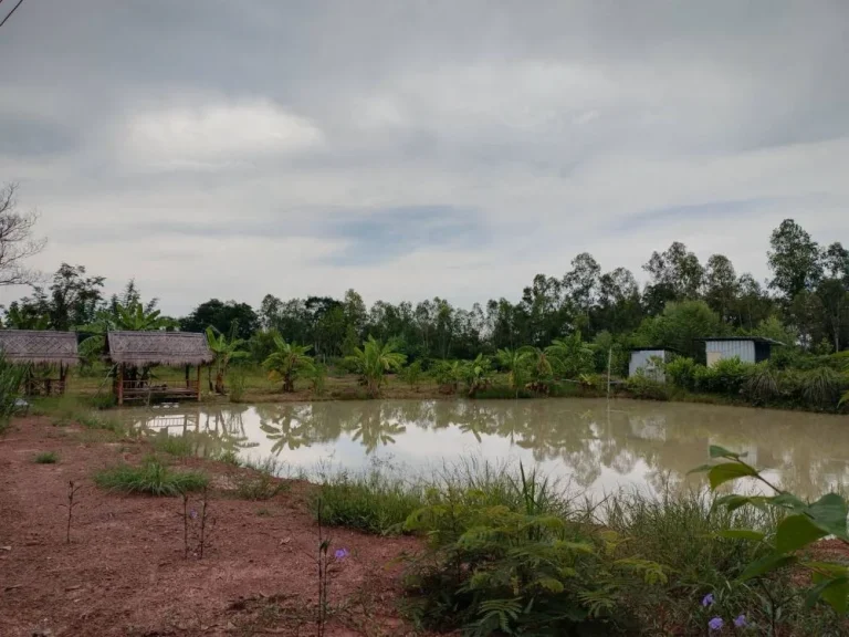 ขายที่ดิน ต ห้วยสามพาด ประจักษ์ศิลปาคม อุดรธานี