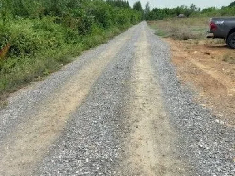 ขายที่ดินติดแม่น้ำบางตะบูนอบ้านแหลม จเพชรบุรี เนื้อที่ 287