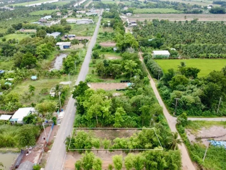 ขายที่ดินบึงบอนคลองเก้า 120 ตรว ถมแล้ว ติดถนนลาดยาง