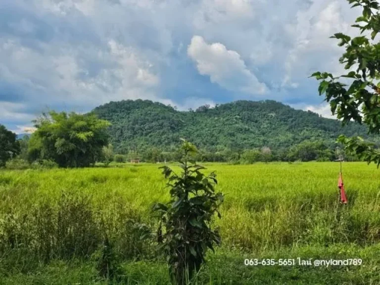 ขายที่สวนวิวเขา ไม่ต้องถม เขาพระ นครนายก