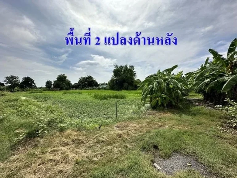 ขายที่ดิน ซเพิ่มสิน 36 ซอยแม้นเหมือน พื้นที่ 480 ตรว