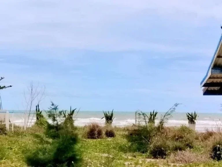 ที่ดินใกล้ชายหาดแม่รำพึง มองเห็นวิวทะเล วิวภูเขา ตเพ อเมือง