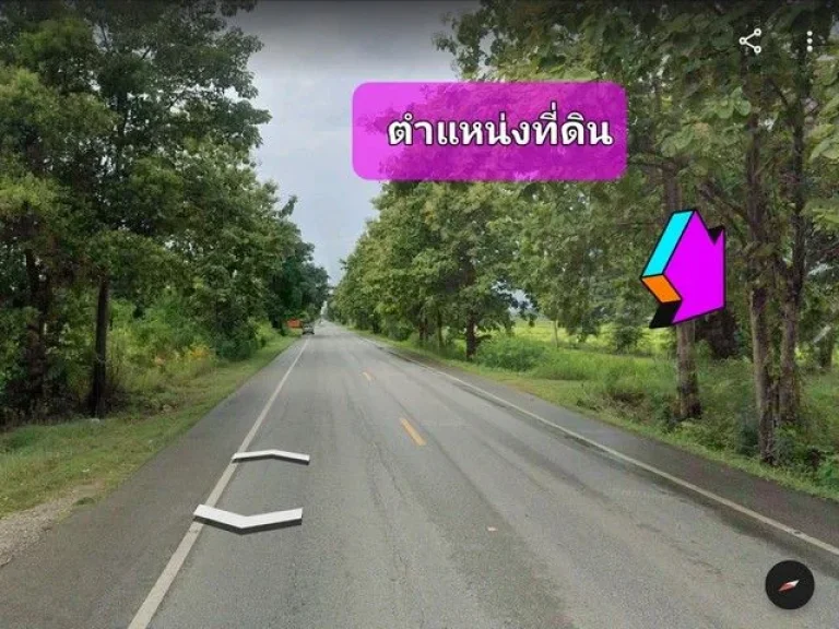 ขายที่ดิน 42-3-75 ไร่ ติดถนนหมายเลข 11 เขาทราย - พิษณุโลก