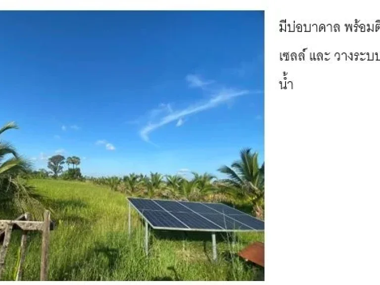 ขายที่ดินติดถนน พร้อมสวนมะพร้าวติดตั้งโซลาร์เซลล์ในสวน