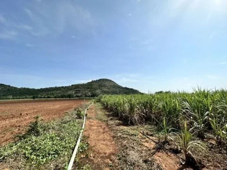 ที่ดินสวยวิวเขา ติดเขาดีสลัก อู่ทอง สุพรรณบุรี ราคาถูก