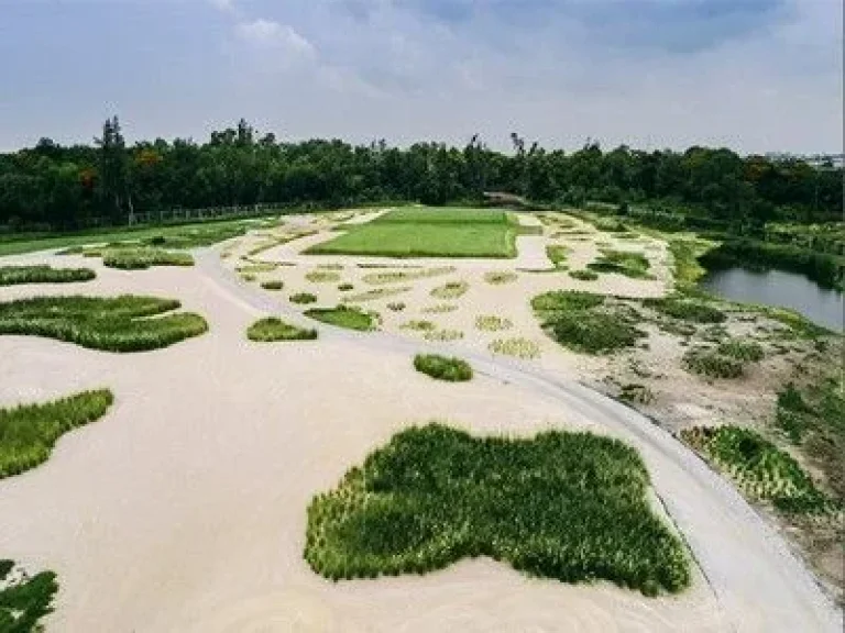 ที่ดินเปล่าในสนามกอล์ฟ Ballyshear Golf links ผังเมืองสีเหลือง