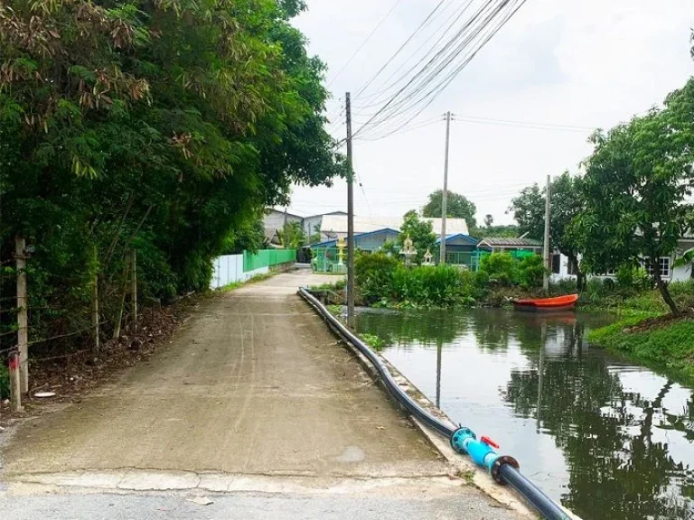 ขายถูกมาก ที่ดินเปล่า800ตรว ปัจจุบันเป็นที่นา ใกล้วัดแคราย