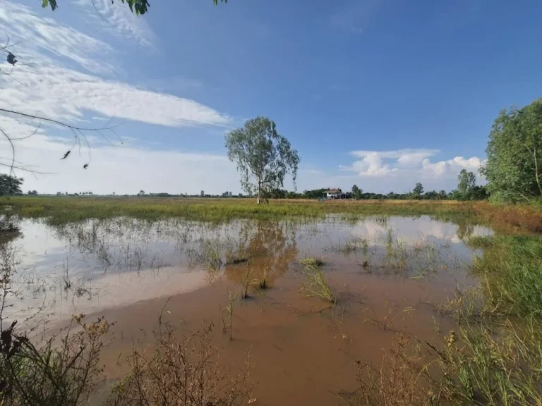 ขายที่ดินบ้านดงกระทงยาม 3 ไร่ หน้ากว้างติดถนนเส้นสุวินทวงศ์