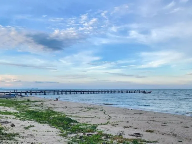 ขายที่ดินติดทะเลชุมพร หน้าติดทะเล หาดบ้านหนองบัว อละเเม