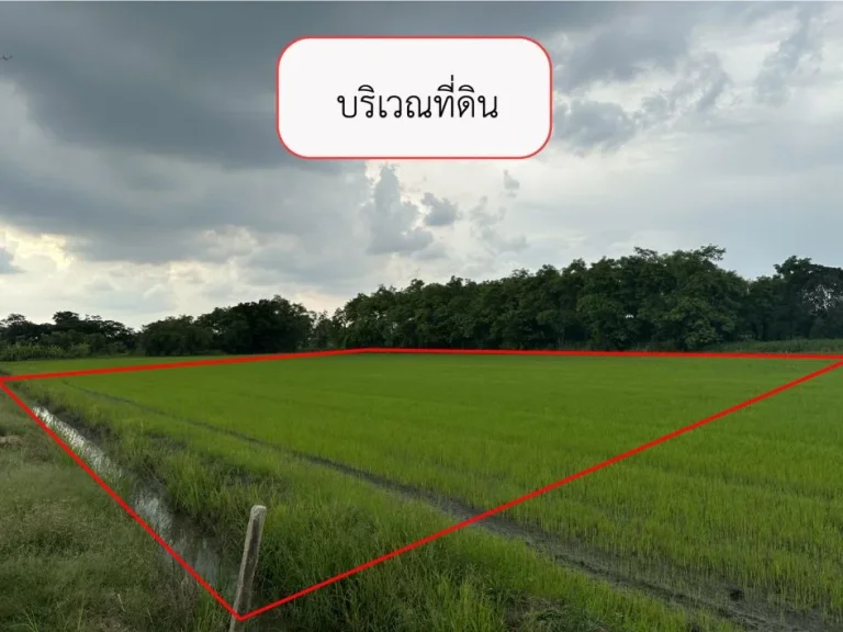 ขายที่ดิน 2 ไร่ คลองห้า ใกล้ถนนกาญจนภิเษก หมายเลข 9