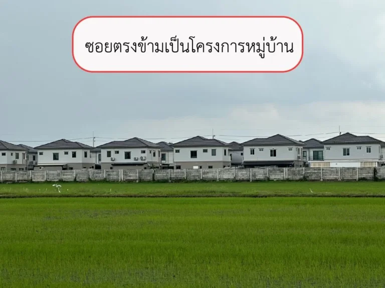 ขายที่ดิน 2 ไร่ คลองห้า ใกล้ถนนกาญจนภิเษก หมายเลข 9