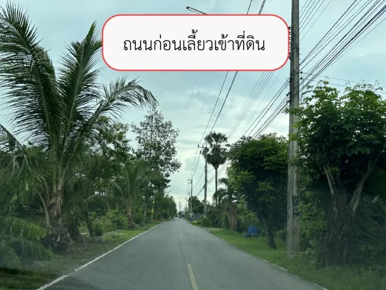 ขายที่ดิน 2 ไร่ คลองห้า ใกล้ถนนกาญจนภิเษก หมายเลข 9