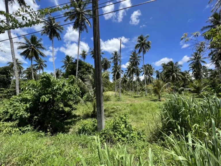 ขายที่ดินติดแม่น้ำ ทับสะแก จังหวัดประจวบคีรีขันธ์ เนื้อที่10