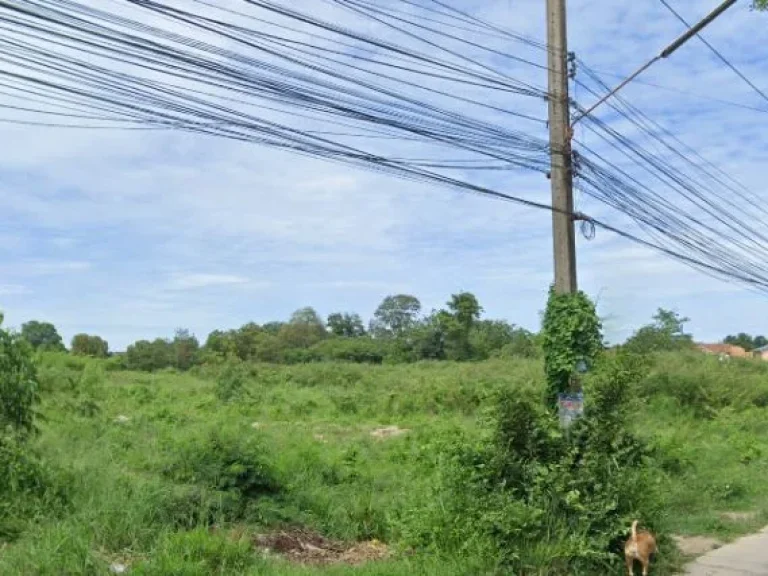 ขายที่ดินติดถนนคอนกรีตตำบลบางละมุงซอย11 เหมาะทำบ้านจัดสรร