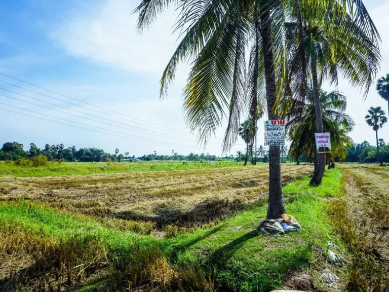 ขายด่วน ที่ดินเปล่า บางเค็ม อเขาย้อย จเพชรบุรี เนื้อที่