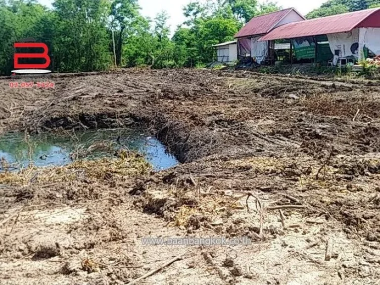 ที่ดินเปล่า ใกล้วัดป่าเจริญราช ลำลูกกา คลอง 11 เนื้อที่ 2 ไร่