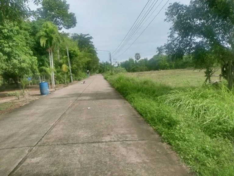 ขายที่ดินแบ่งขายใกล้อนุสาวรีย์สุนทรภู่ใกล้หาดแหลมแม่พิมพ์ติด