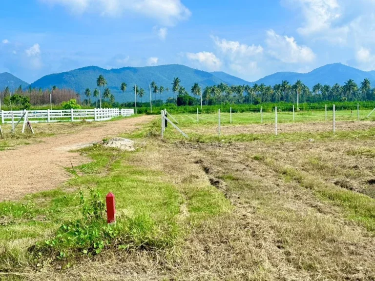 ขายที่ดิน วิวเขา พุหวายวิว 100 ตรว เขต ชะอำ เพชรบุรี