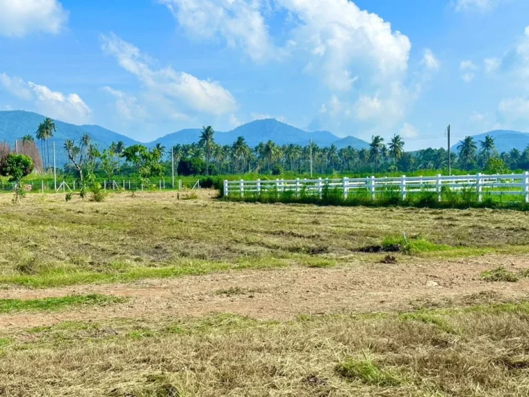 ขายที่ดิน วิวเขา พุหวายวิว 100 ตรว เขต ชะอำ เพชรบุรี