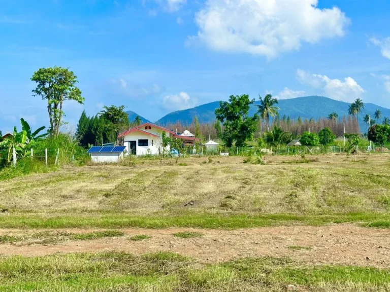 ขายที่ดิน วิวเขา พุหวายวิว 100 ตรว เขต ชะอำ เพชรบุรี