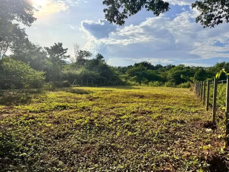 ขายที่ดินบ้านดอนแก้วแม่ริมวิวดอยติดถนนโฉนดพร้อมโอน