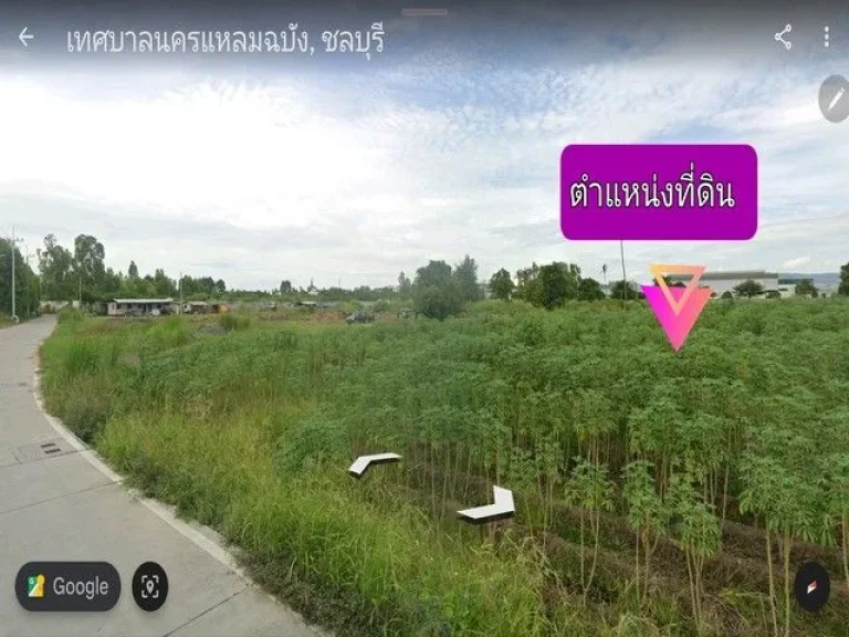 ขายที่ดิน ศรีราชาชลบุรีต หนองขาม 6-3-31 ไร่