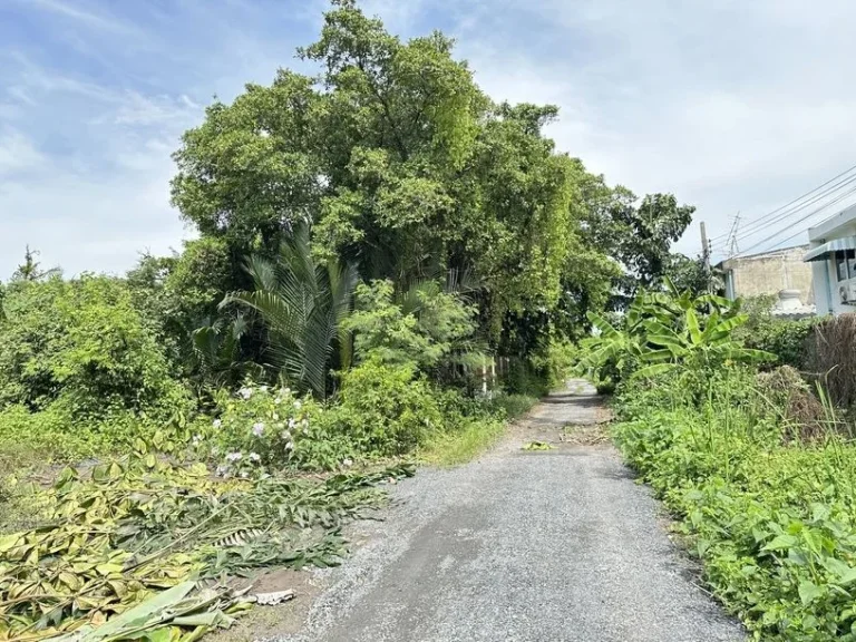 ขายที่ดินแปลงสวย ถมแล้ว 227 ตรว ซอยวัดใหญ่