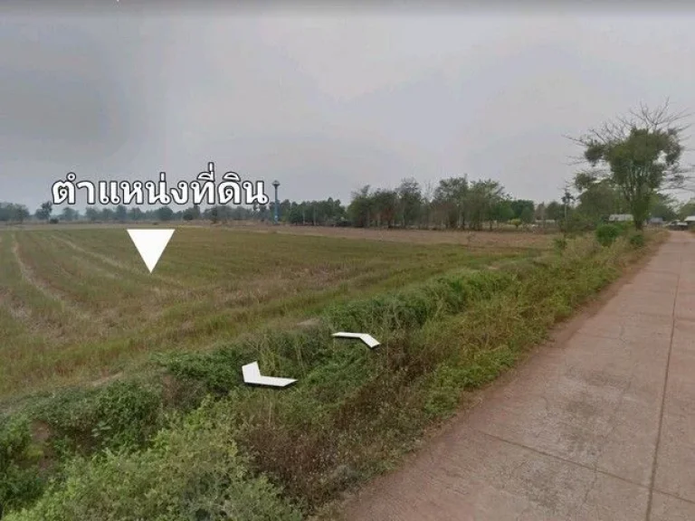 ขายที่ดิน อ ตะพานหินจ พิจิตร ตหนองพยอม 40-3-21 ไร่