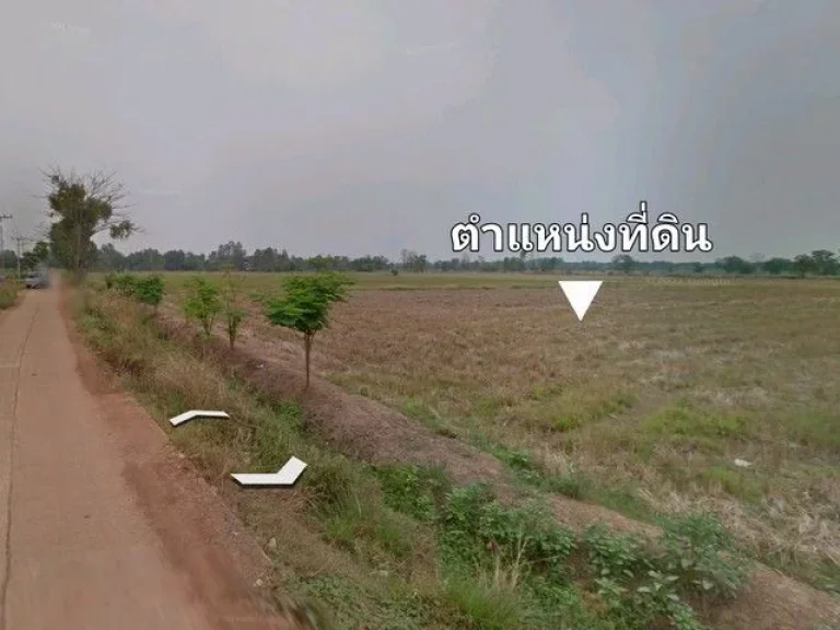 ขายที่ดิน อ ตะพานหินจ พิจิตร ตหนองพยอม 40-3-21 ไร่