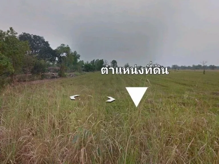 ขายที่ดิน อ ตะพานหินจ พิจิตร ตหนองพยอม 40-3-21 ไร่