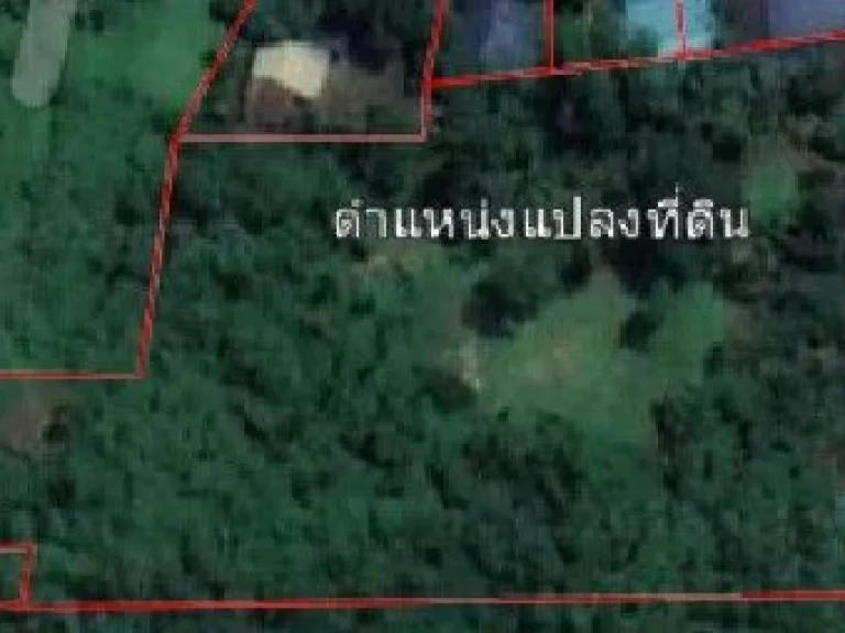 ขายที่ดินสวย ทำเลดีติดถนนคอนกรีต ใกล้โรงเรียนปรังกาสี