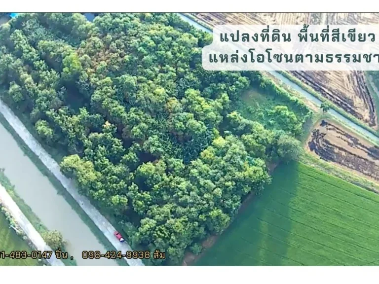 ที่ดิน พร้อมสวนป่า 7 ไร่ 3 งานกว่า บ้านรางหางม้า ตปลายนา