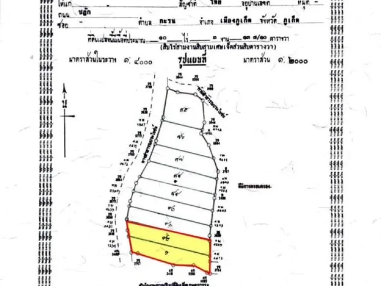 ขายที่ดินซีวิว ภูเก็ต กะตะ-กะรน ติดถนน หน้ากว้างประมาณ40เมตร