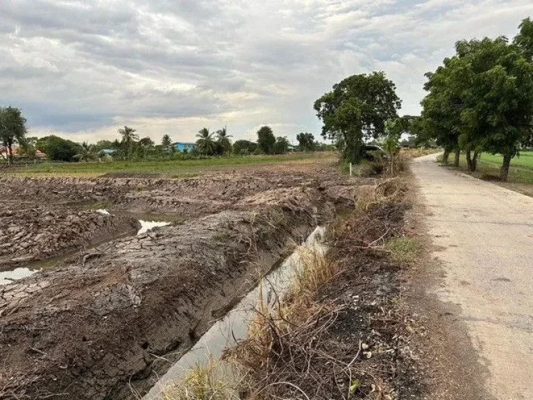 ขายที่ดินแบ่งล็อค ตคู้สลอด อลาดบัวหลวง จอยุธยา เริ่มต้น