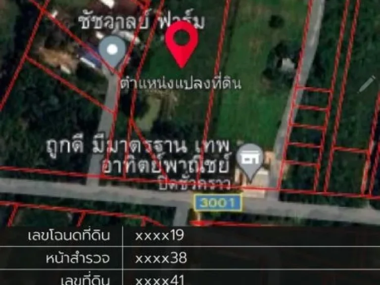 ขายที่ดิน อำเภอกันทรวิชัย มหาสารคาม ติดถนนหลักราดยาง