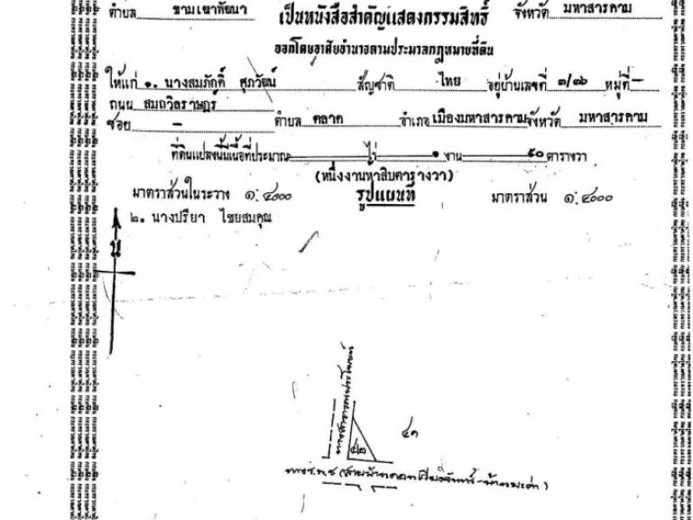 ขายที่ดิน อำเภอกันทรวิชัย มหาสารคาม ติดถนนหลักราดยาง