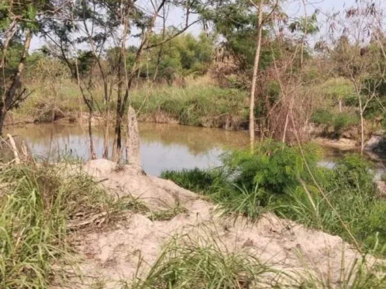 ขายถูกที่ดินบางละมุง 25 ไร่ ล้อมรอบธรรมชาติ ตะเคียนเตี้ยน