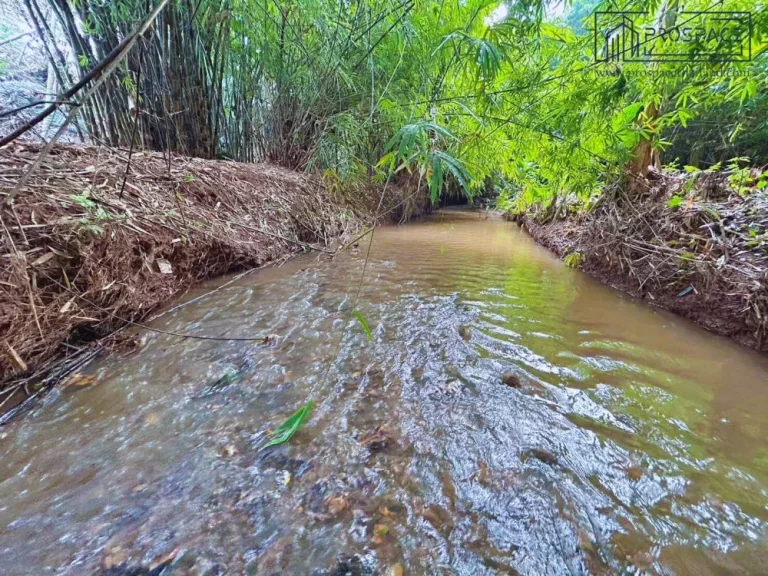 ขายที่ดิน ติดภูเขา ลำธารเชียงดาว จเชียงใหม่