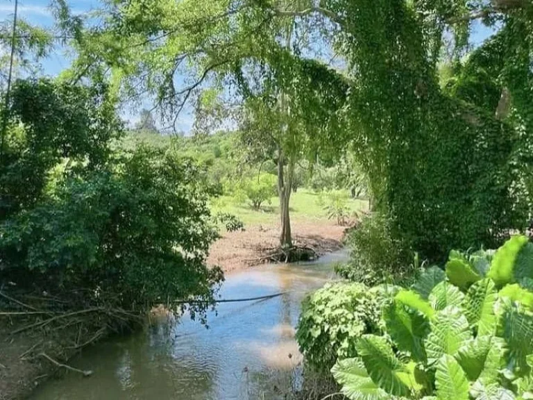 ขายที่ดินบ้านปิงโค้งเชียงดาวติดลำน้ำโฉนดพร้อมโอน