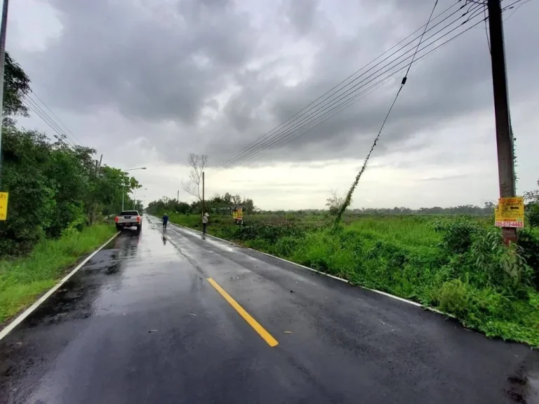 ขายถูกที่สุดที่ดินหนองเสือ 2 ไร่ ติดถนนลาดยางสาธารณะไฟฟ้าป