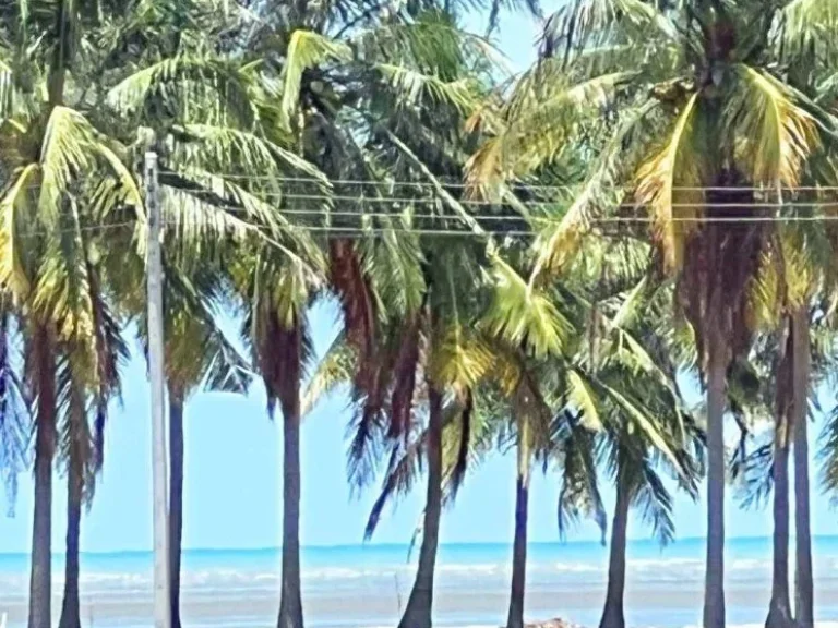 จัดเต็ม ขายถูก ที่ดินด้านหน้าวิวทะเล ด้านหลังวิวเขา