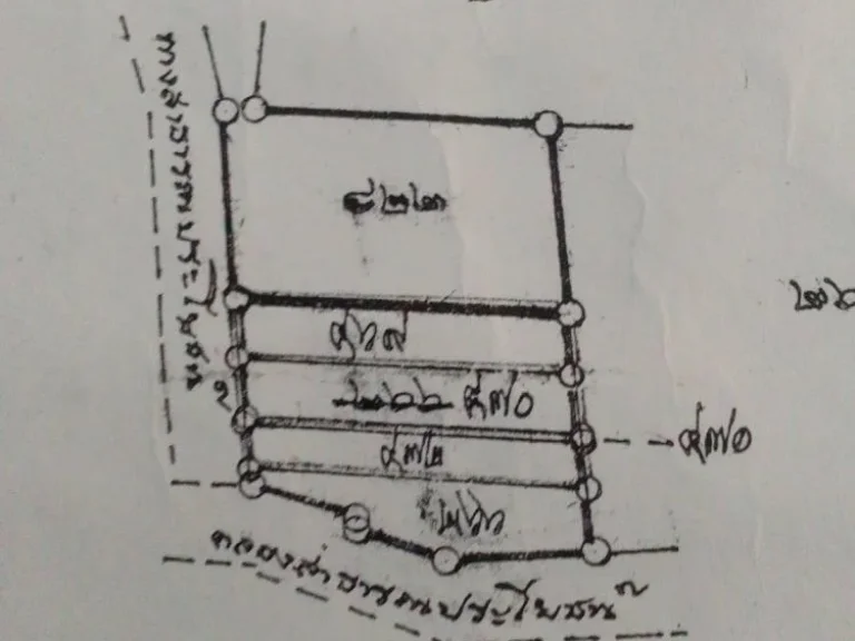 ขายสวนทุเรียนพร้อมผลไม้ ริมคลองวาดโตนงาช้าง