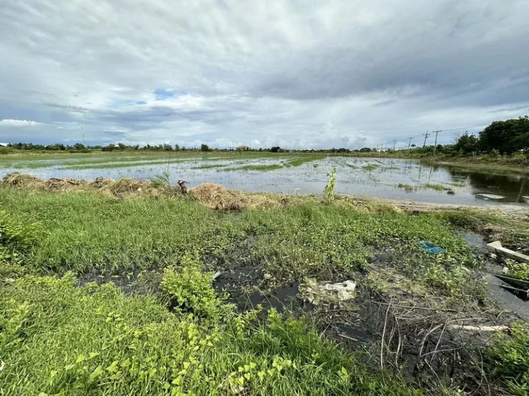 ขายที่ดิน นครชัยศรี นครปฐม ถห้วยพูล ตสัมปทวน พื้นที่