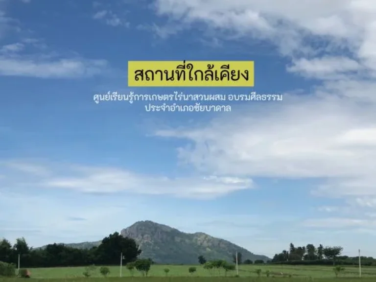 ขายที่ดิน4 ไร่ เกษตรพอเพียงเหมาะปลูกบ้านพักอาศัย ชัยบาดาล