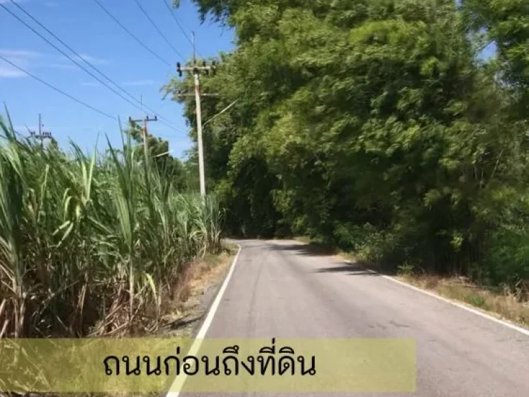 ขายที่ดิน4 ไร่ เกษตรพอเพียงเหมาะปลูกบ้านพักอาศัย ชัยบาดาล