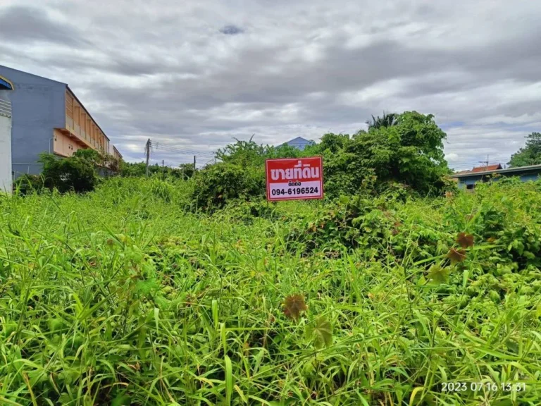 ขายที่ดินติดถนนเลี่ยงเมืองตัดใหม่ ในเมืองกำแพงเพชร