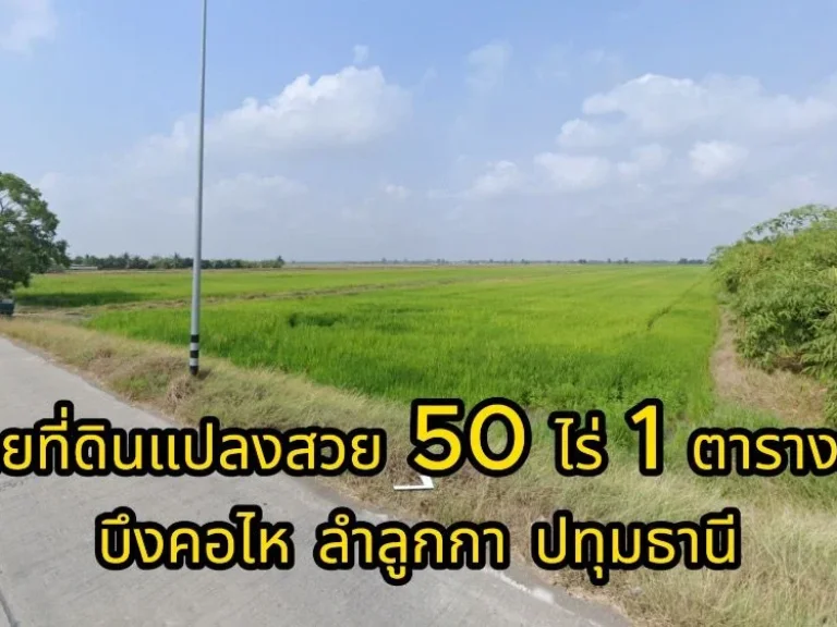 ขาย ที่ดิน บึงคอไห ลําลูกกา ปทุมธานี 50 ไร่ 1 ตารางวา