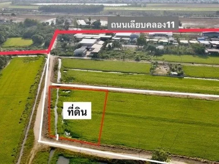 ขายที่ดินบึงน้ำรักษ์ 1 ไร่ คลอง 11 ธัญญะฝั่งลำลูกกา ถมแล้ว