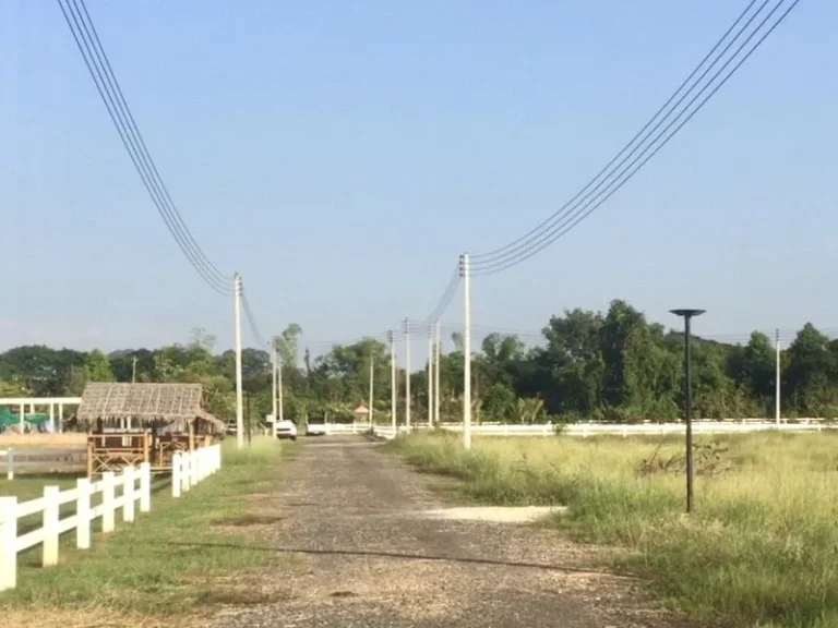 หน้าน้ำหลังเขา พิเศษสุดๆ 2 แปลงสุดท้ายบรรยากาศดีมีทั้งวิวเขา