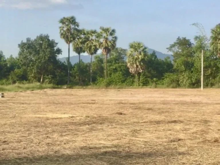 หน้าน้ำหลังเขา พิเศษสุดๆ 2 แปลงสุดท้ายบรรยากาศดีมีทั้งวิวเขา